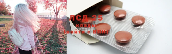 прущие крисы Абаза