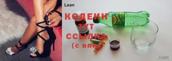 прущие крисы Абаза