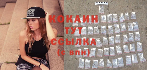 дживик Абинск