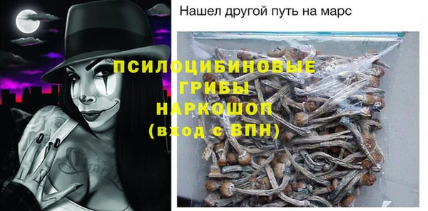 дживик Абинск