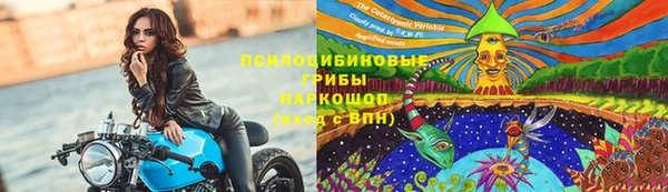таблы Михайлов