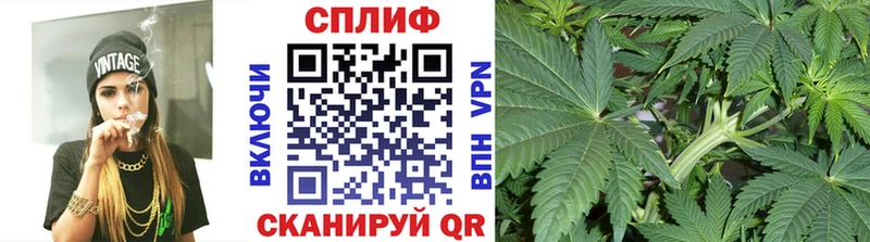 MEGA как зайти Брюховецкая МАРИХУАНА конопля